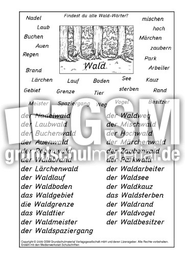 Wald-Wörter-Lösung.pdf